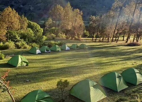 Hill View Camping In Shimla