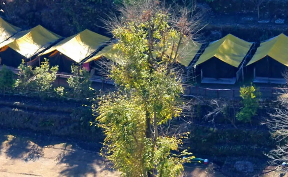 Jungle Admist Camping In Mussoorie