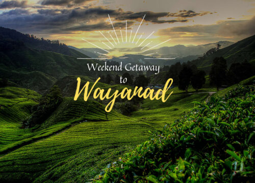 Wayanad Tour Package from Bangalore